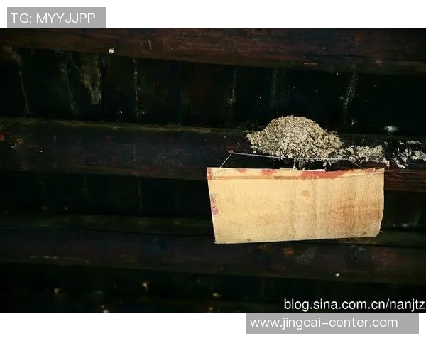 姚明的燕窝背后的故事与文化传承探秘